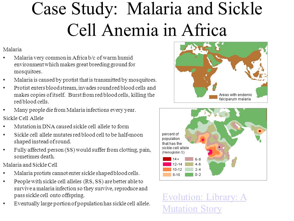 malaria case study africa